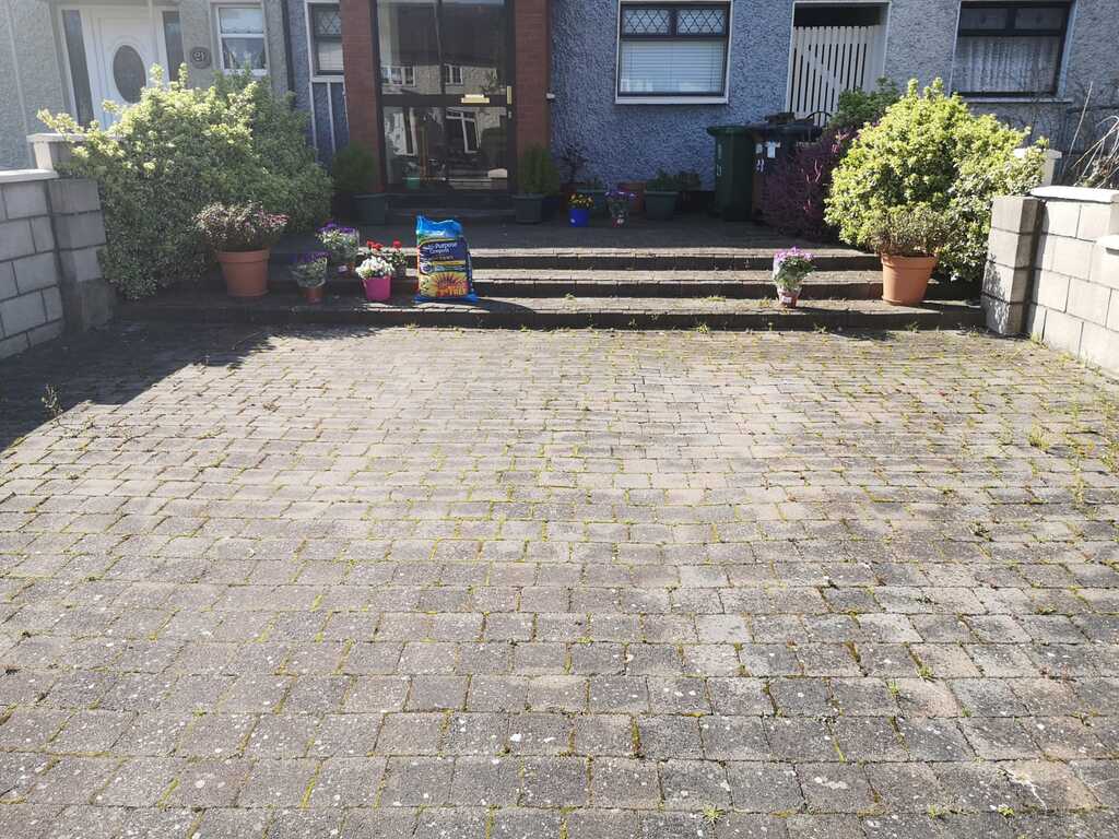 power washing services dublin driveway before